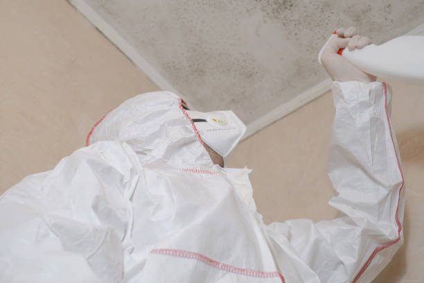 Best Certified Mold Removal  in Oxford, MS