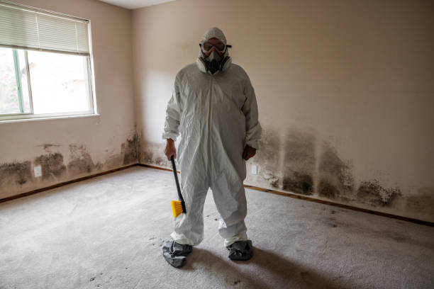 Best Residential Mold Removal  in Oxford, MS